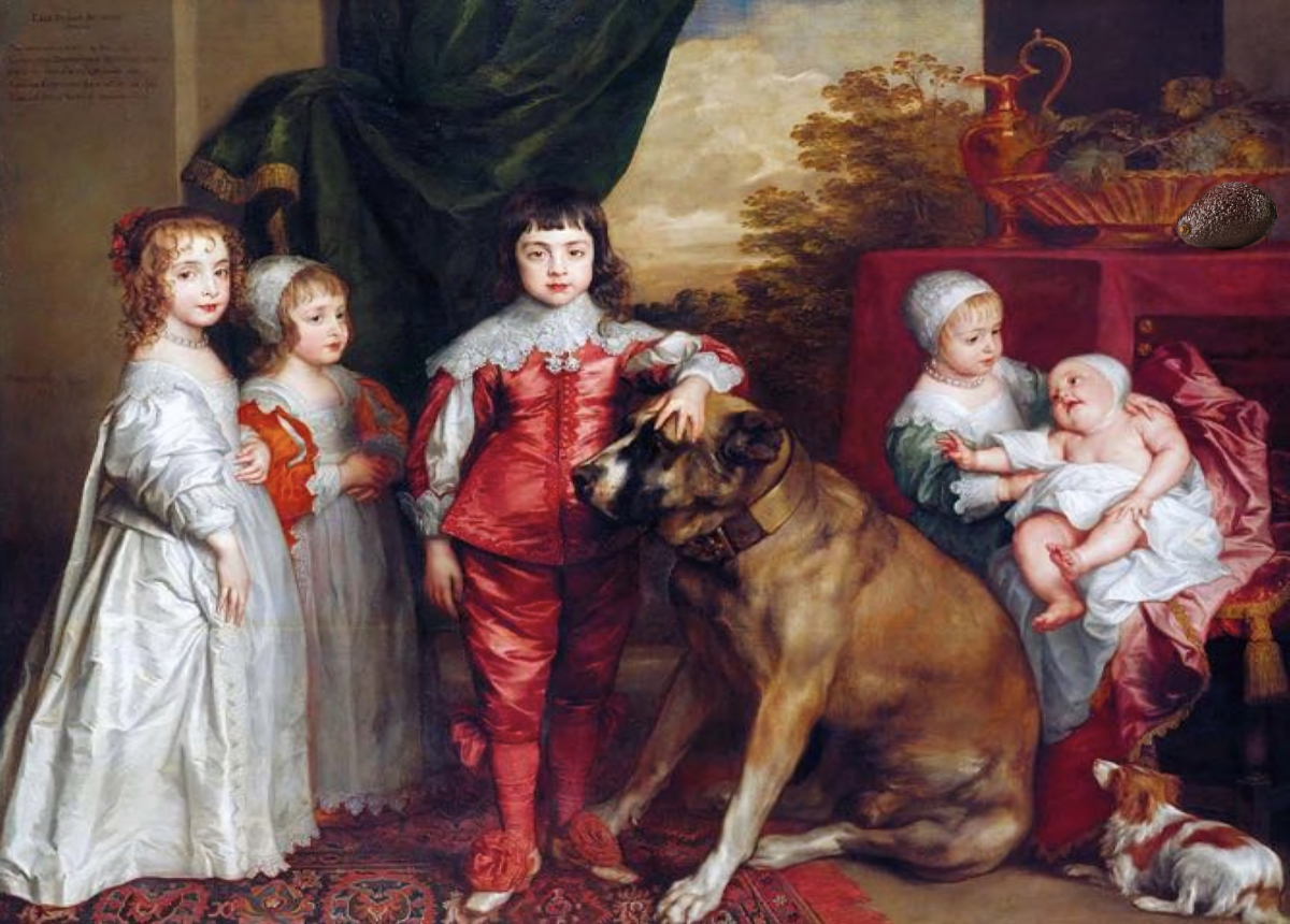 Les cinq aînés de Charles 1er 1635 - jeu de l'intrus